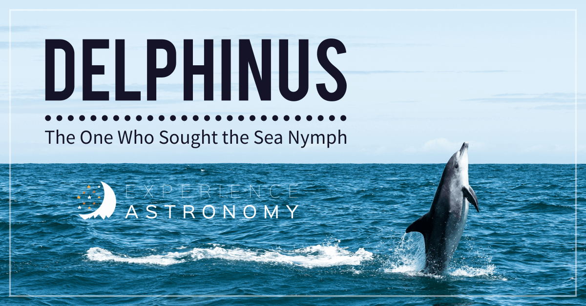 Delphinus: The One Who Sought the Sea Nymph