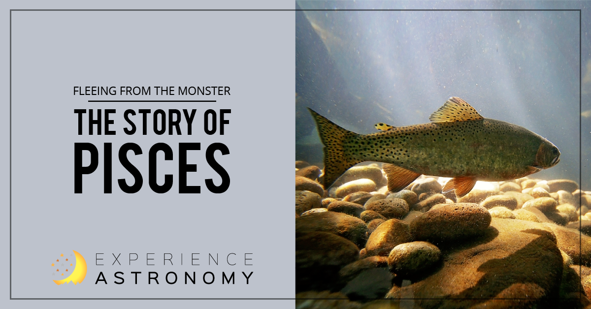 Fleeing from the Monster: The Story of Pisces