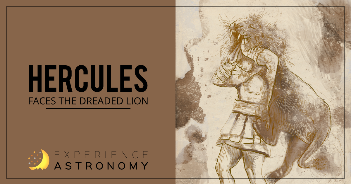 Hercules Faces the Dreaded Lion