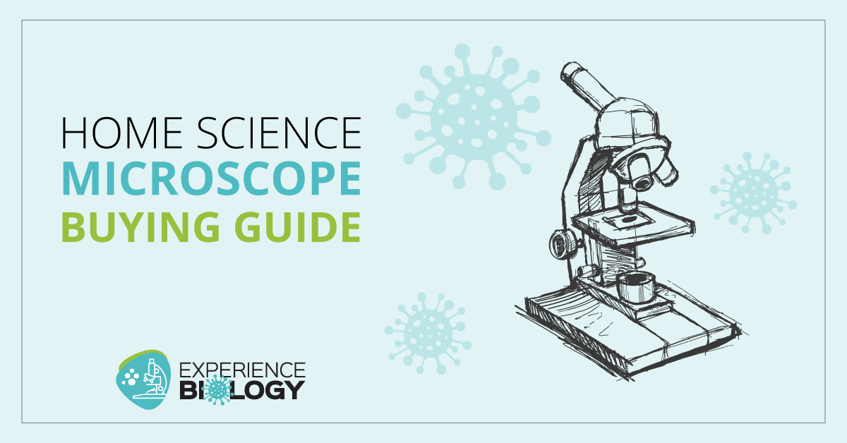 How to Find the Best Microscope for Homeschool Science