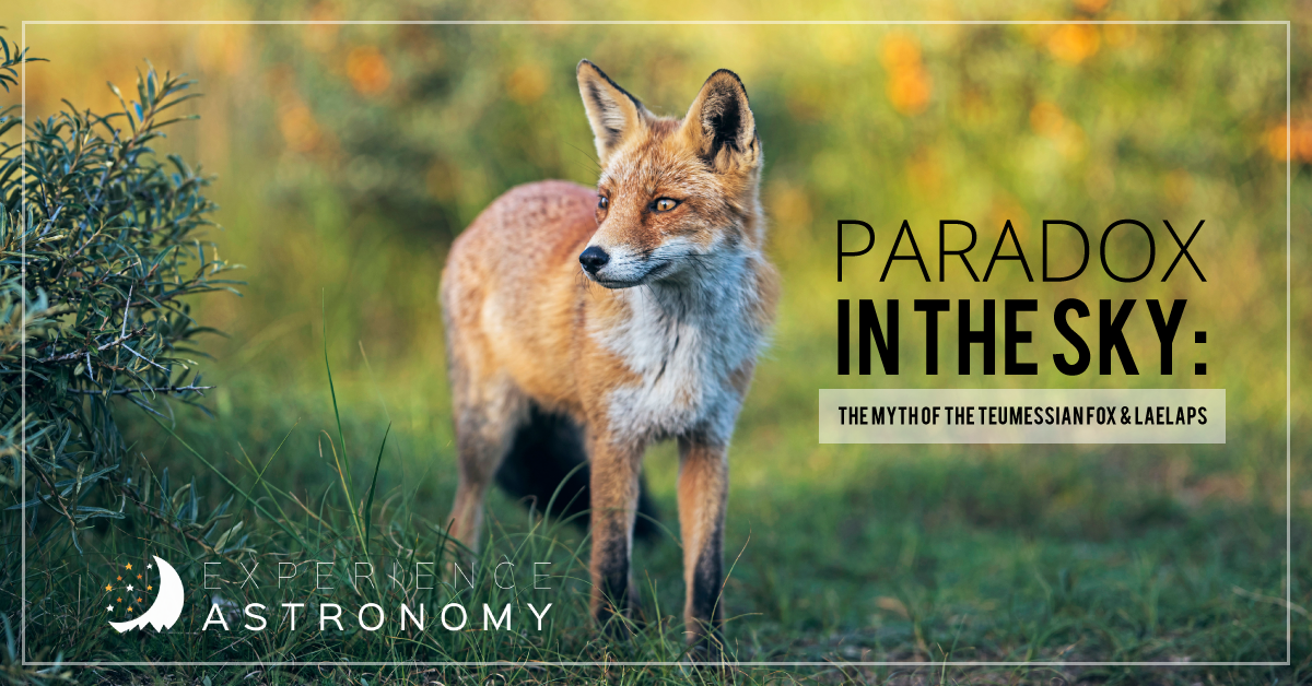 Paradox in the Sky: The Myth of the Teumessian Fox and Laelaps