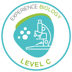 Biology C - B&W