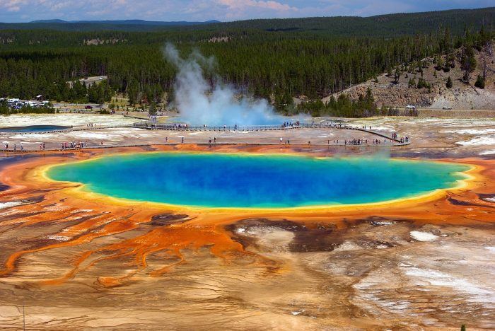 Yellowstone National Park Virtual Science Field Trip