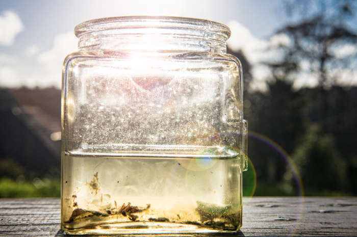 Inspiring a Love of Stem Dirty Water Project