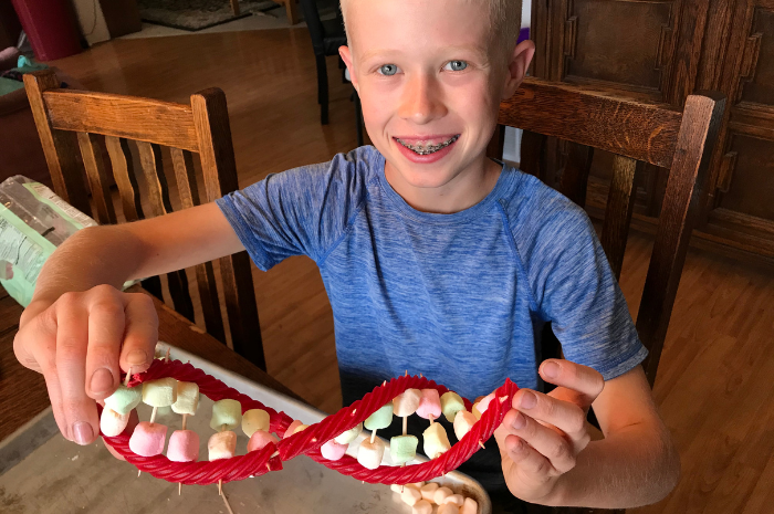 Edible DNA project Homeschool STEM