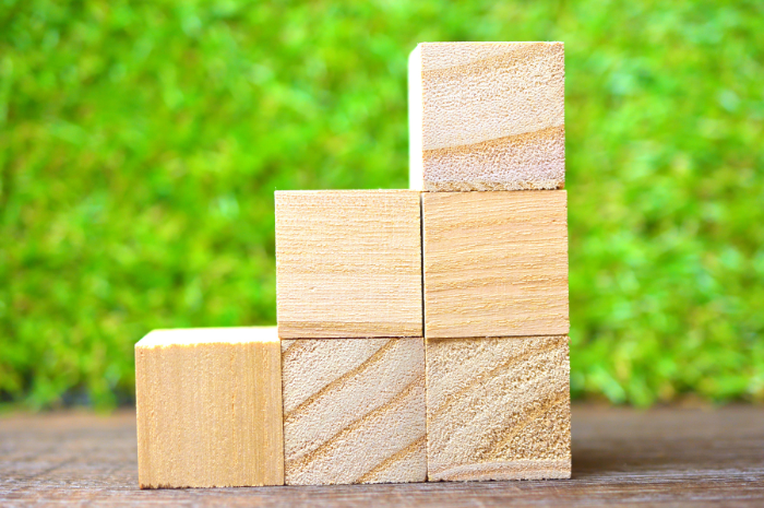 Homeschool Science and Scaffolding learning