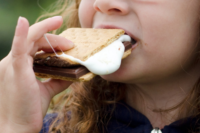 STEM Smores Homeschool Science Middle School