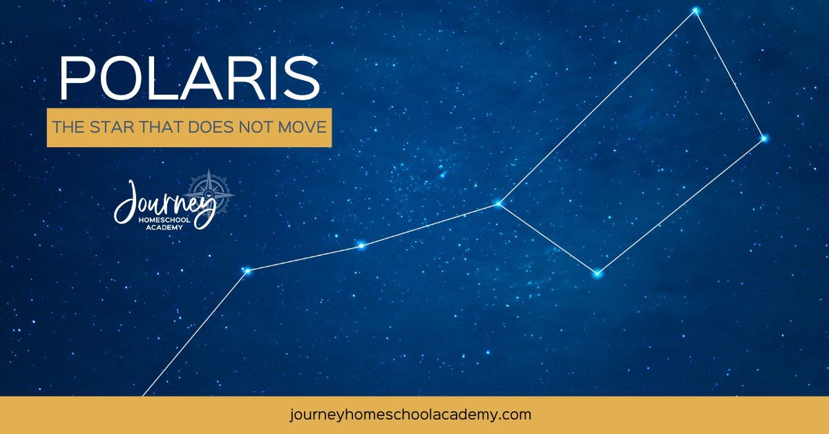 Polaris: The Star that Does Not Move