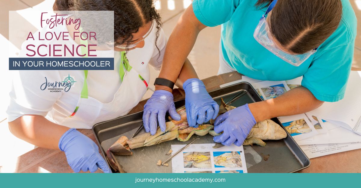 How to Foster a Love for Science in Your Homeschooled Child