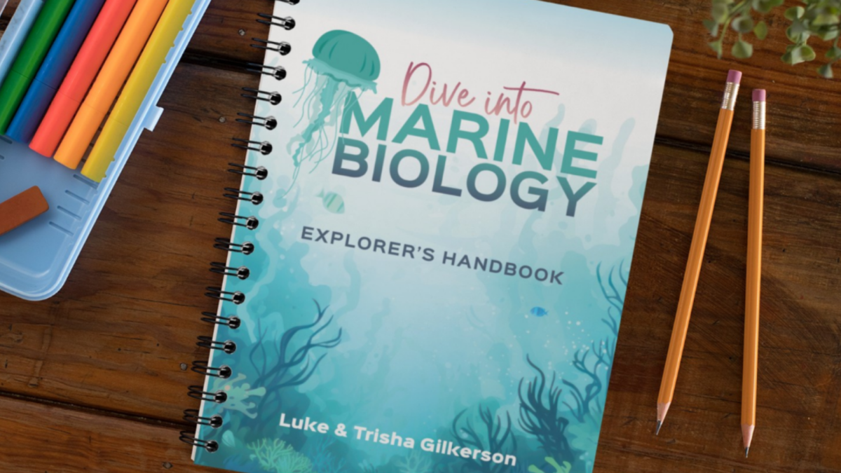 Dive into Marine Biology - Journey Homeschool Academy