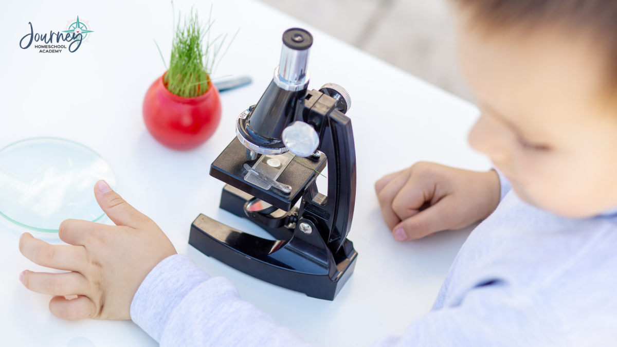 Are You Making These Common Christian Homeschool Science Mistakes? - Journey Homeschool Academy