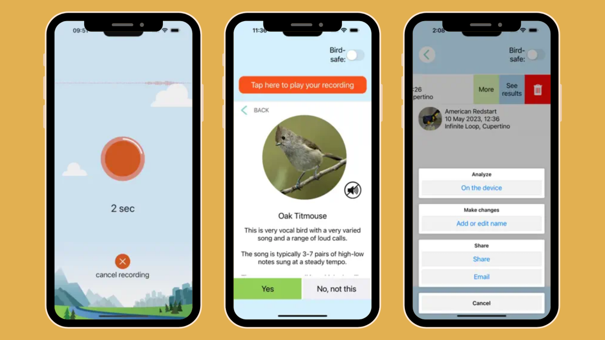 Top 8 Birdsong Apps for Nature-Loving Homeschool Families - Journey Homeschool Academy