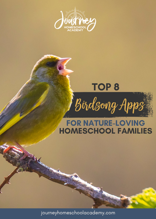 Top 8 Birdsong Apps for Nature-Loving Homeschool Families - Journey Homeschool Academy