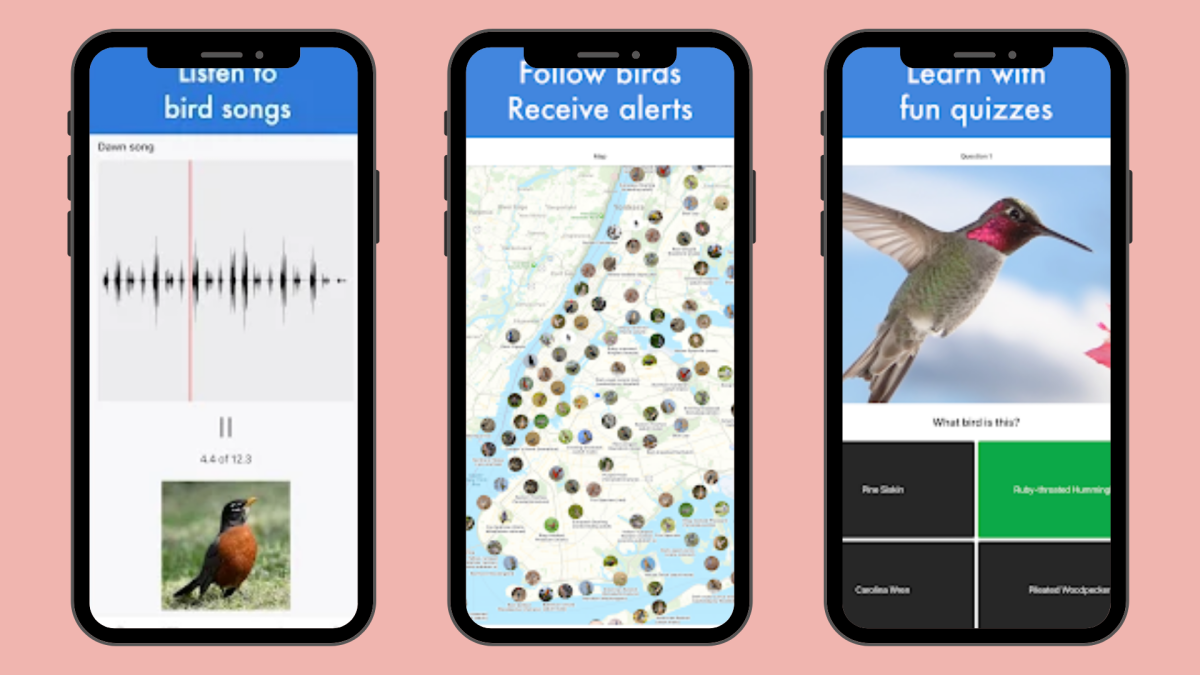 Top 8 Birdsong Apps for Nature-Loving Homeschool Families - Journey Homeschool Academy
