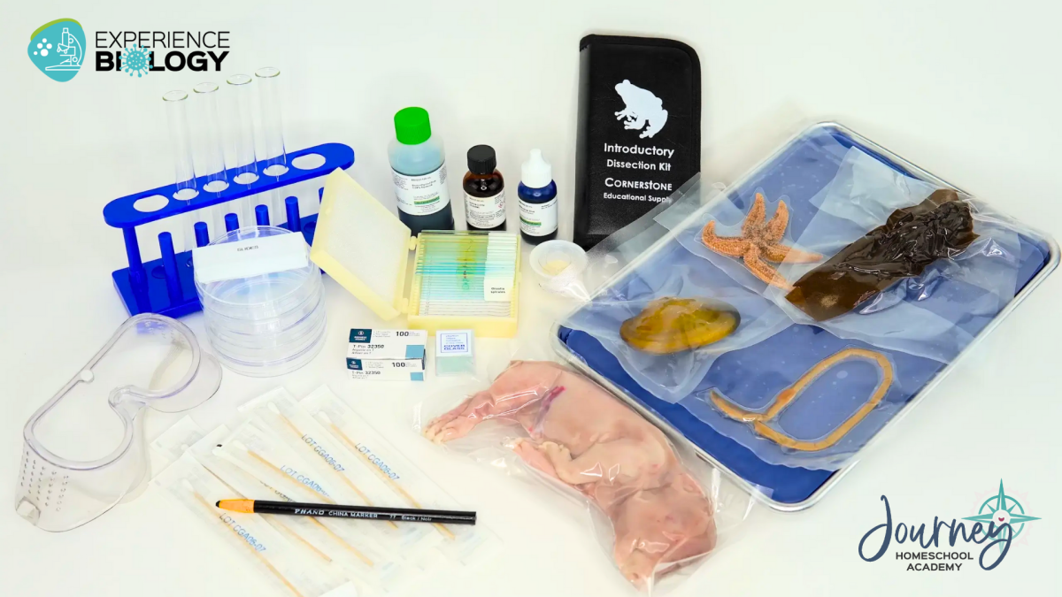 Biology lab kit for homeschool students with supplies for dissections, microscope labs, and hands-on experiments.