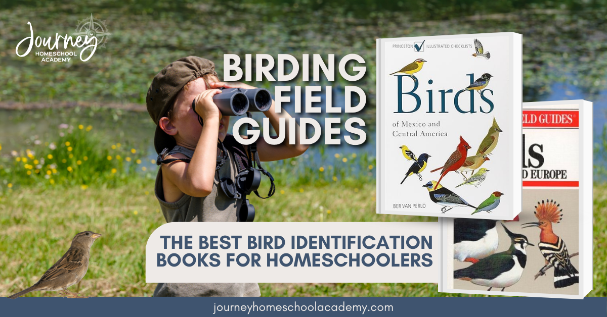 Birding Field Guides: The Best Bird Identification Books for Homeschoolers