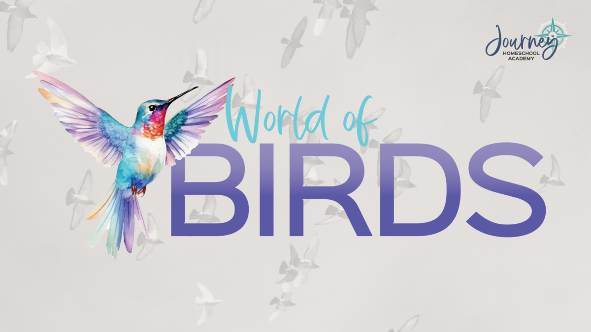 Watercolor hummingbird with “World of Birds” text — Birds homeschool Christian Bible Journey Homeschool Academy course.