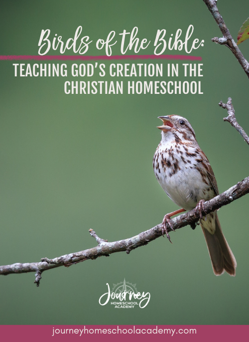Sparrow perched on branch with text overlay — Birds homeschool Christian Bible Journey Homeschool Academy blog graphic.