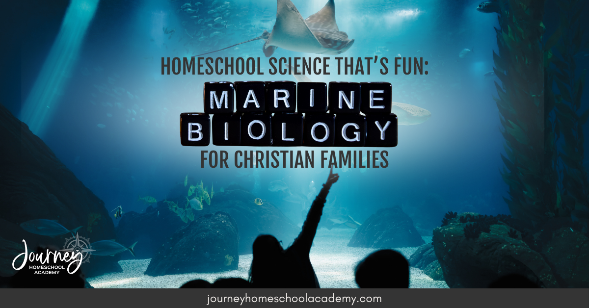 Homeschool Science That’s Fun: Marine Biology for Christian Families
