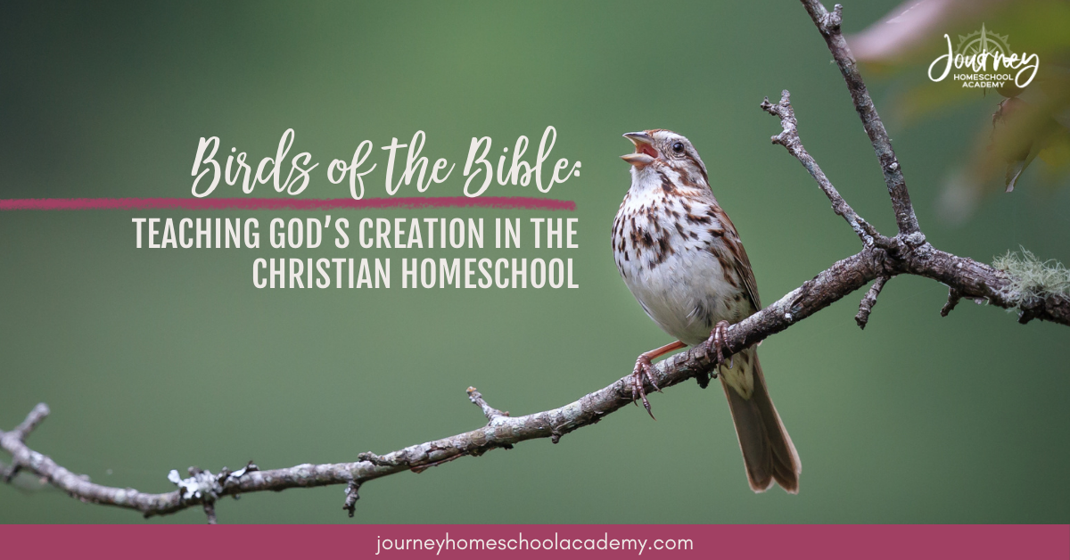 Birds of the Bible: Teaching God’s Creation in the Christian Homeschool