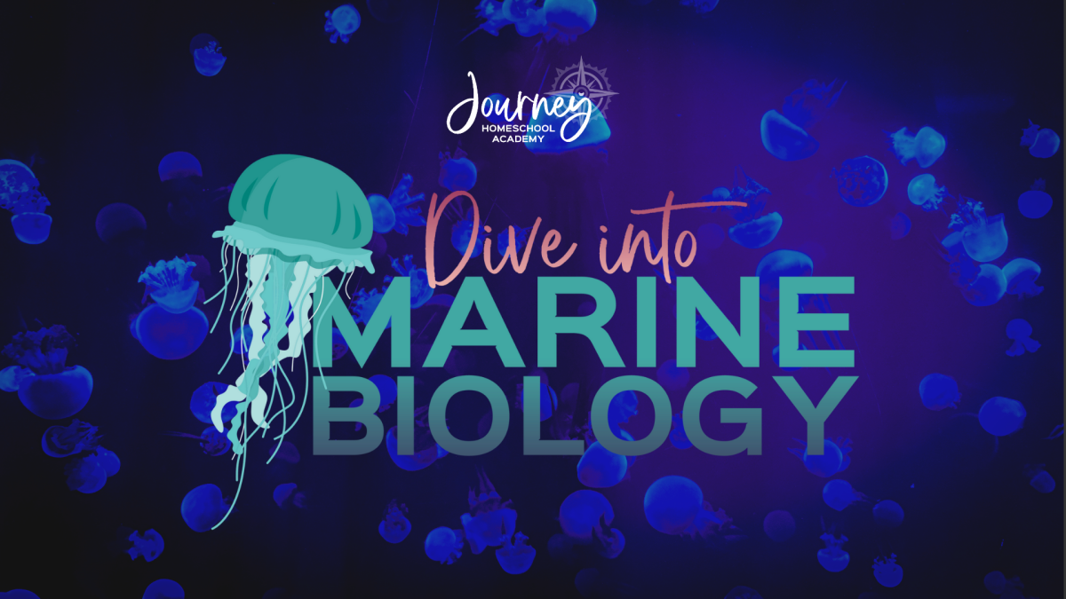 Promotional image with glowing jellyfish and text reading “Dive into Marine Biology,” representing Journey Homeschool Academy’s homeschool science program.