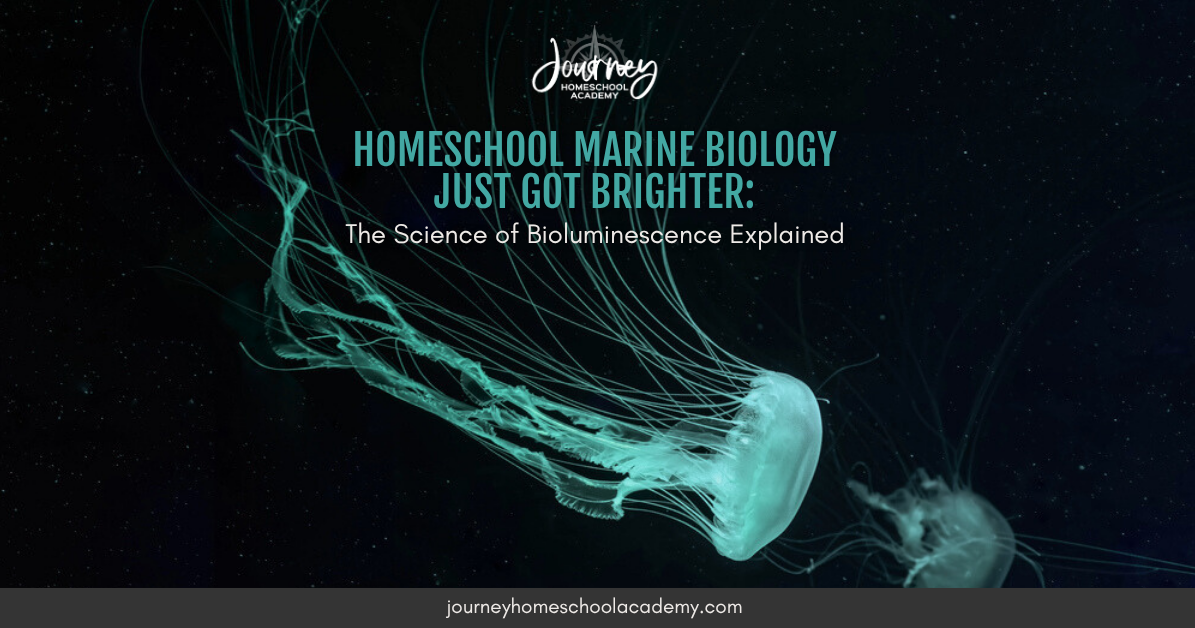 Homeschool Marine Biology Just Got Brighter: The Science of Bioluminescence Explained