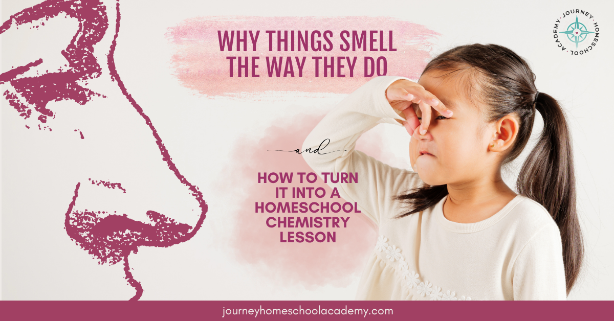 Why Things Smell the Way They Do