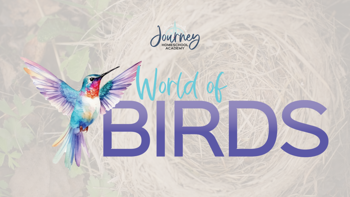 World of Birds course logo with a colorful hummingbird and a nest background, Journey Homeschool Academy
