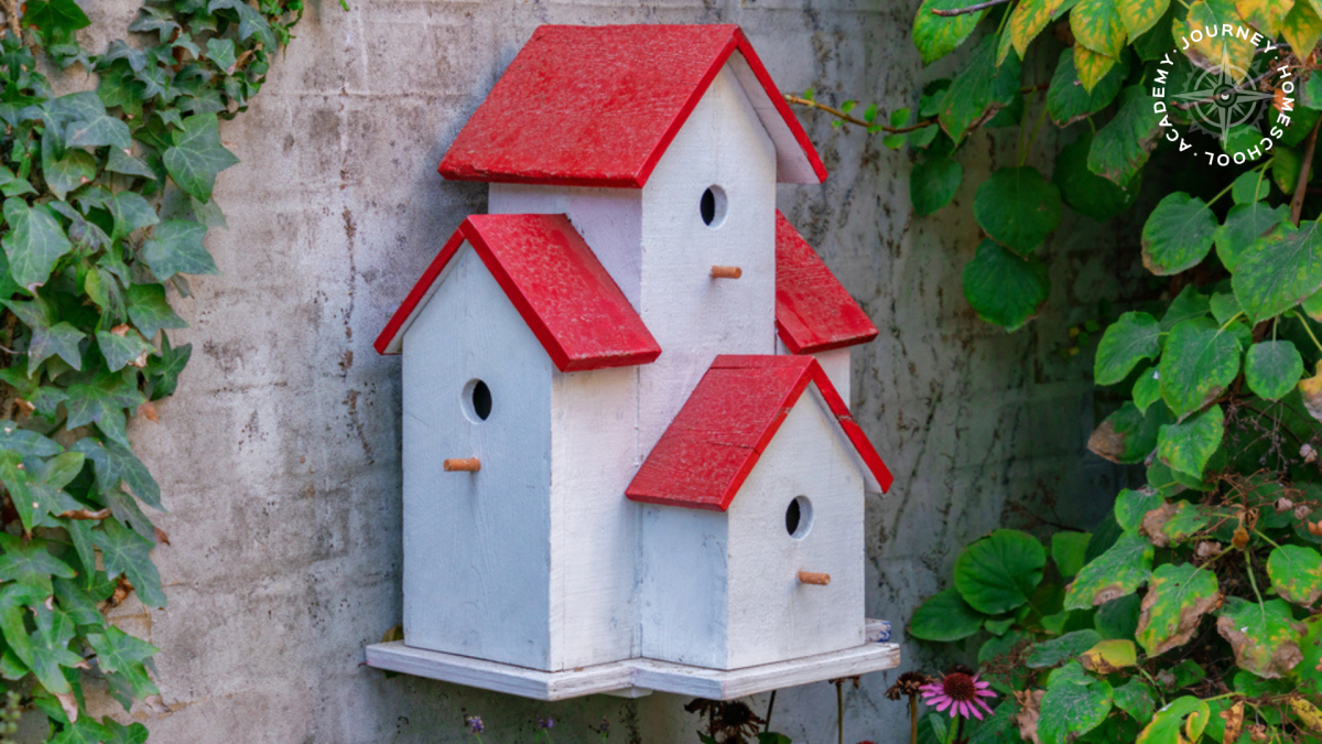 Decorative multi-unit birdhouse mounted on an outdoor wall surrounded by greenery, used as an example of shelter in a bird nesting homeschool project with Journey Homeschool Academy.
