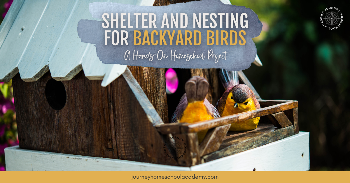 Shelter and Nesting for Backyard Birds: A Hands-On Homeschool Project