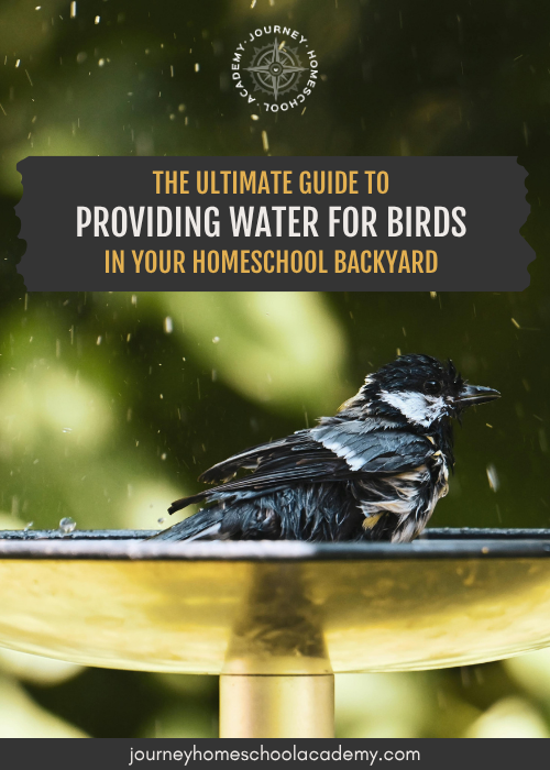 Bird splashing in a bird bath with title ‘Providing Water for Birds in Your Homeschool Backyard’—Journey Homeschool Academy nature study resource.