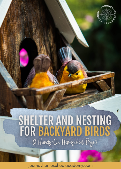 Wooden birdhouse scene with colorful birds and the title Shelter and Nesting for Backyard Birds, promoting a bird nesting homeschool project by Journey Homeschool Academy.