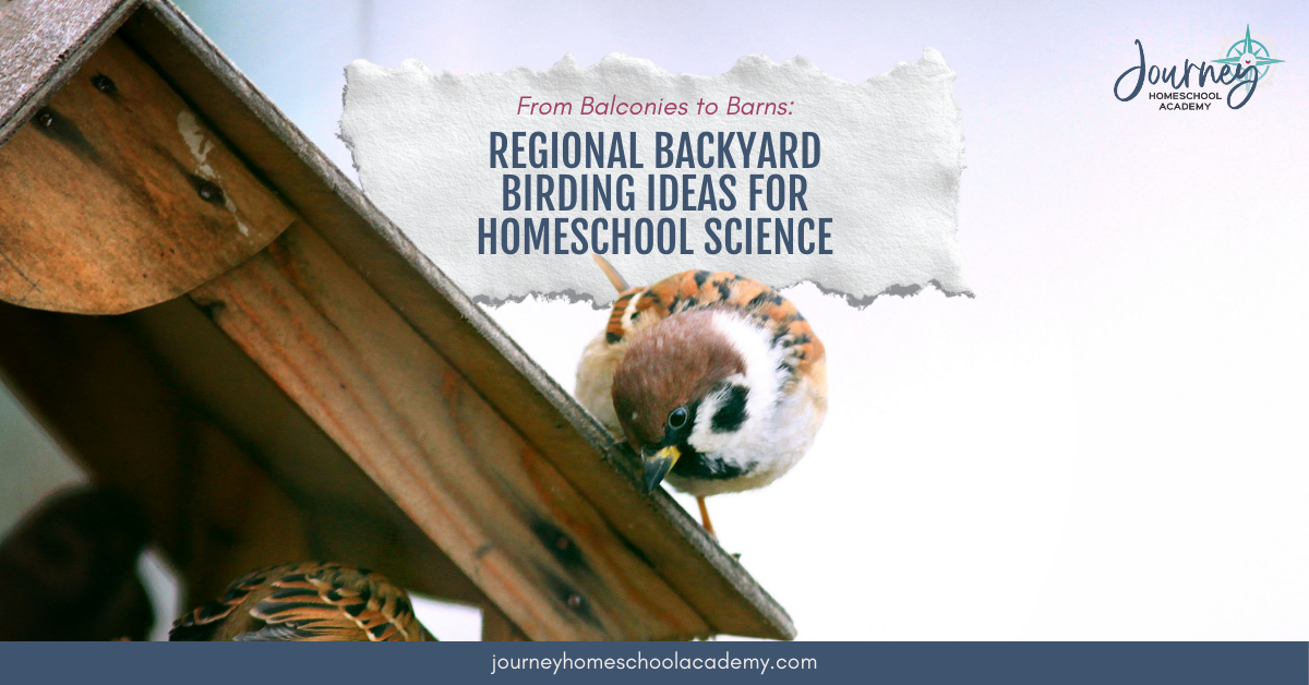 From Balconies to Barns: Regional Backyard Birding Ideas for Homeschool Science