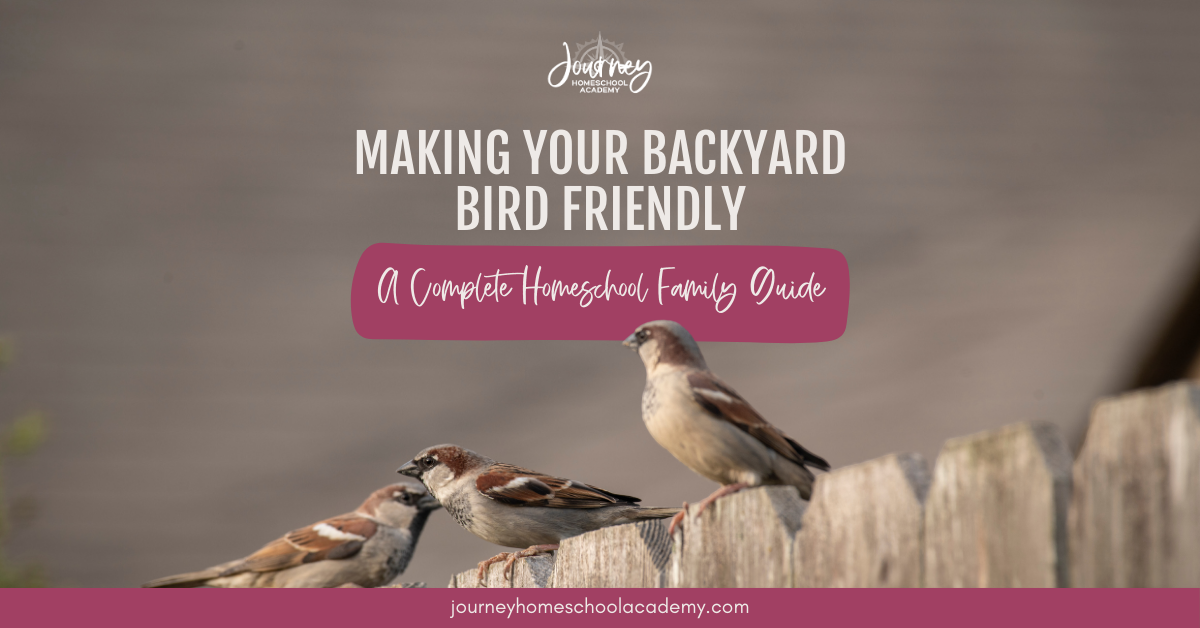 Making Your Backyard Bird Friendly: A Complete Homeschool Family Guide