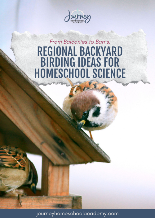 Sparrow at a wooden feeder with text “Regional Backyard Birding Ideas for Homeschool Science,” representing the hero header of the article.