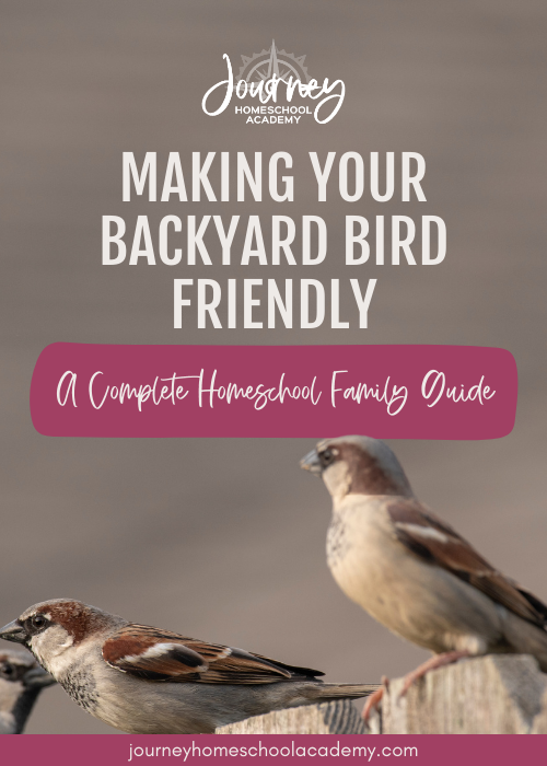 Journey Homeschool Academy guide for making your backyard bird friendly with sparrows perched on a fence