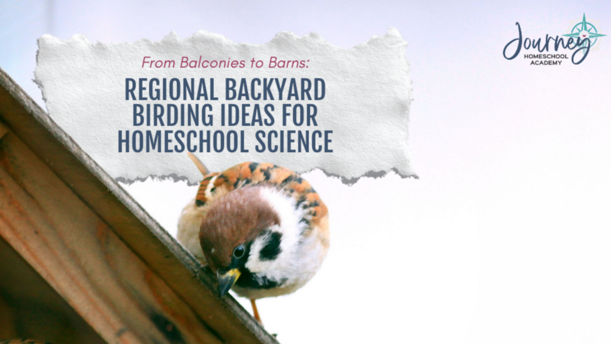Journey Homeschool Academy regional backyard birding ideas image with sparrow on birdhouse